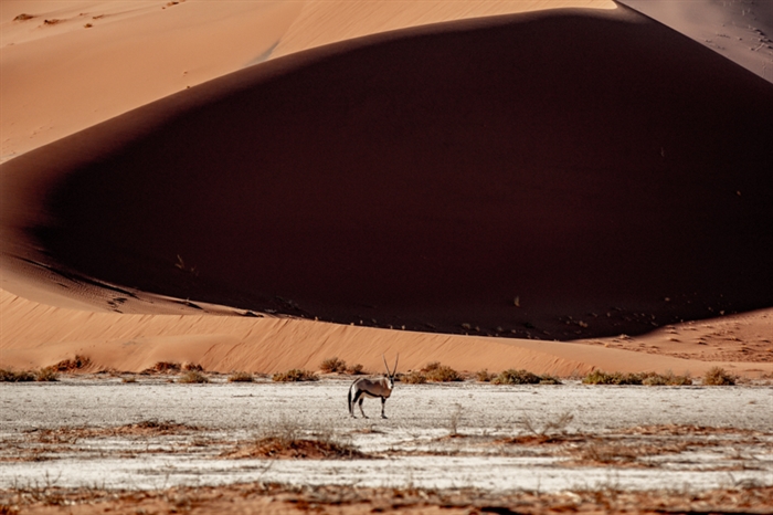 Foto galería 100km of Namib Race 2024